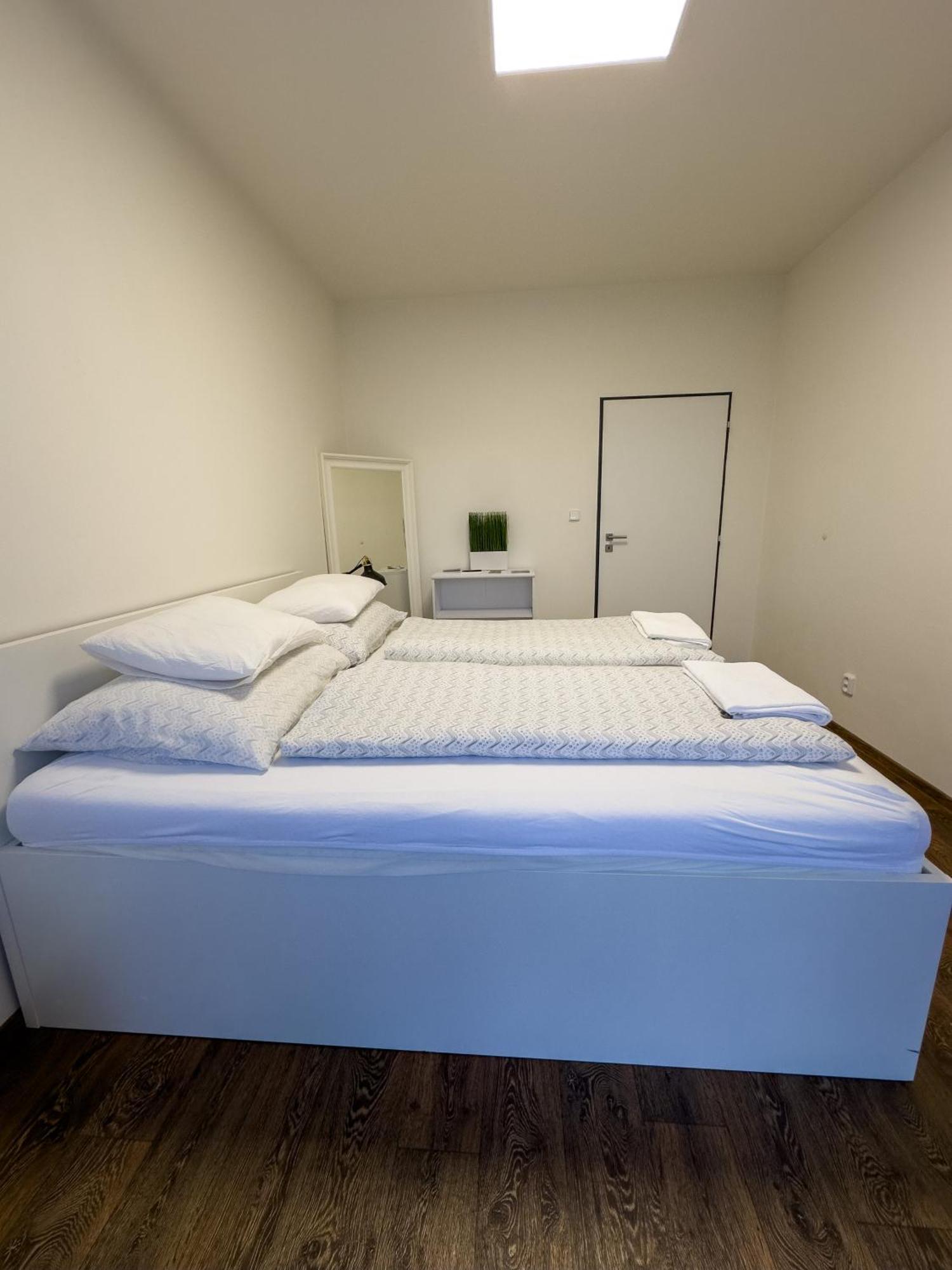 Haas Apartments Downtown With Parking Brno Exterior foto