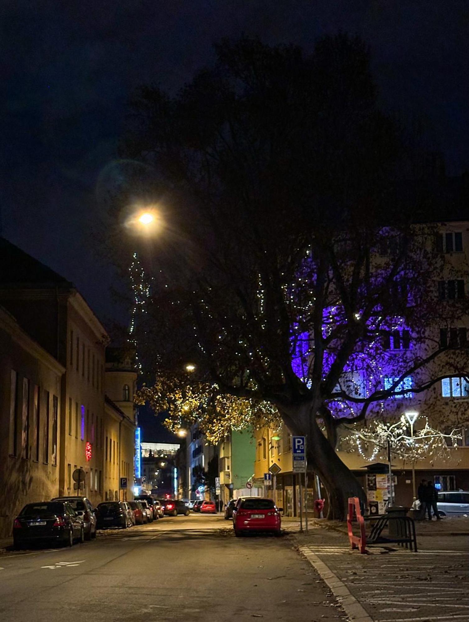 Haas Apartments Downtown With Parking Brno Exterior foto