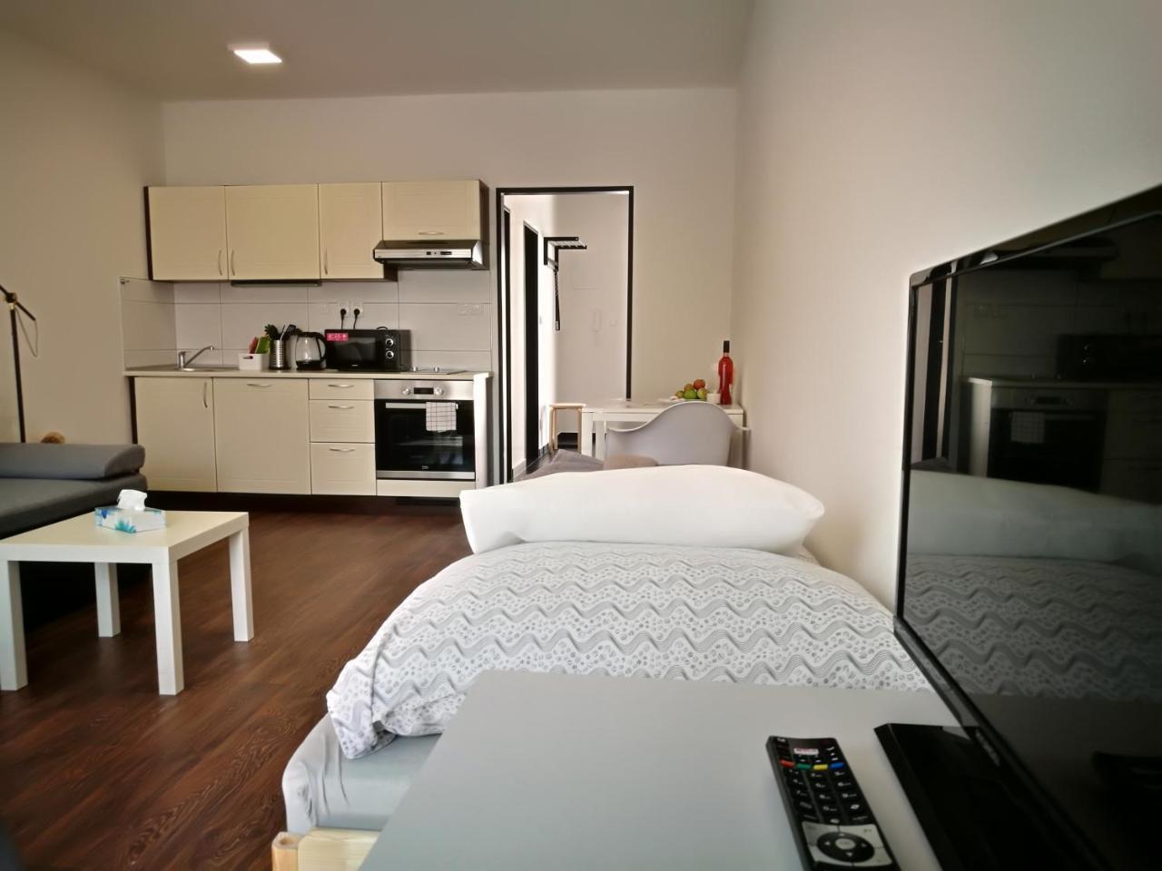 Haas Apartments Downtown With Parking Brno Exterior foto