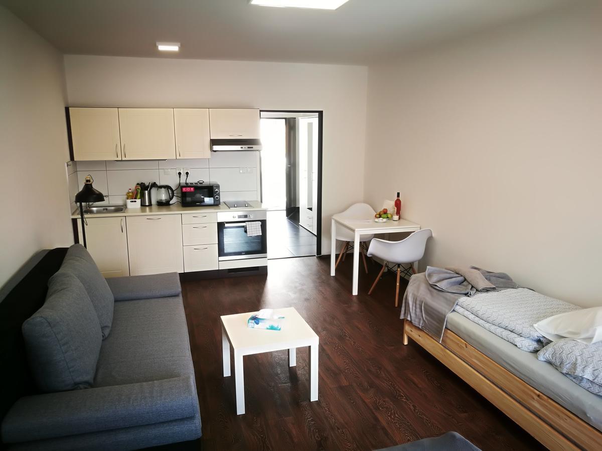 Haas Apartments Downtown With Parking Brno Exterior foto